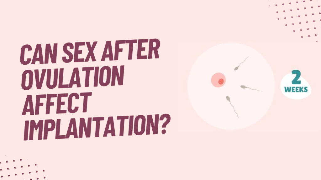 Can Sex After Ovulation Affect Implantation?
