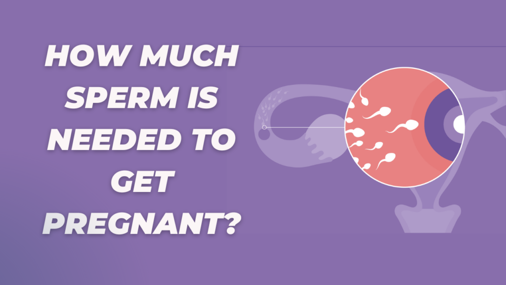 How Much Sperm is Needed to Get Pregnant