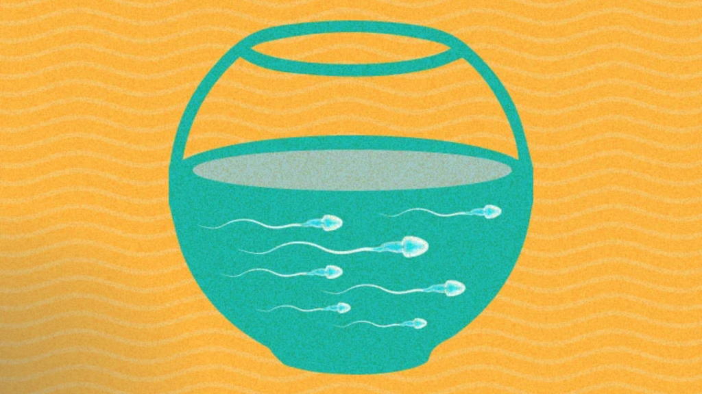 How to Check Sperm Count at Home with Water