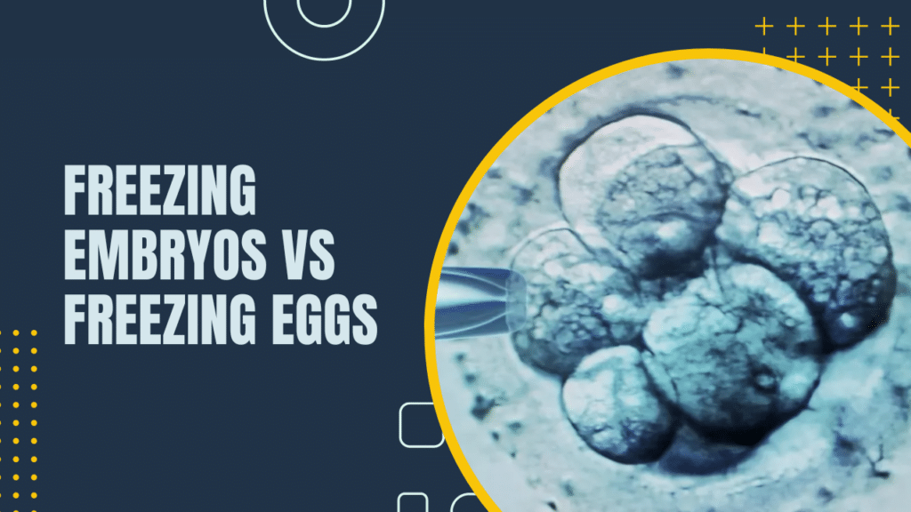 Freezing Embryos Vs Freezing Eggs