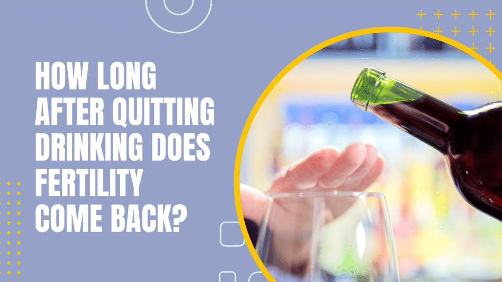 How Long After Quitting Drinking Does Fertility Come Back?