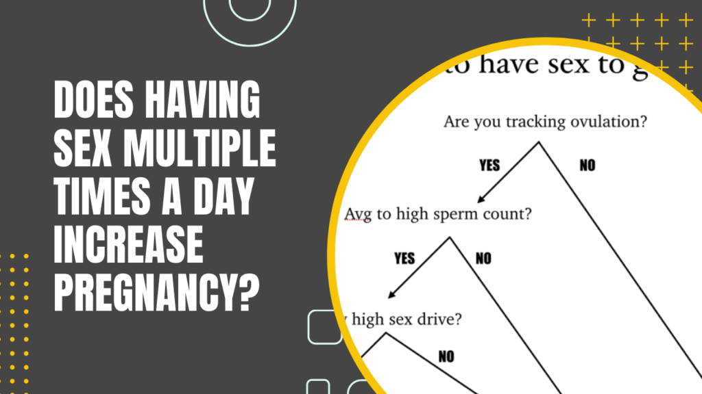 Does Having Sex Multiple Times A Day Increase Pregnancy?