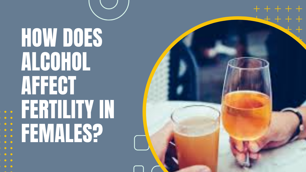How Does Alcohol Affect Fertility In Females Expert Insights