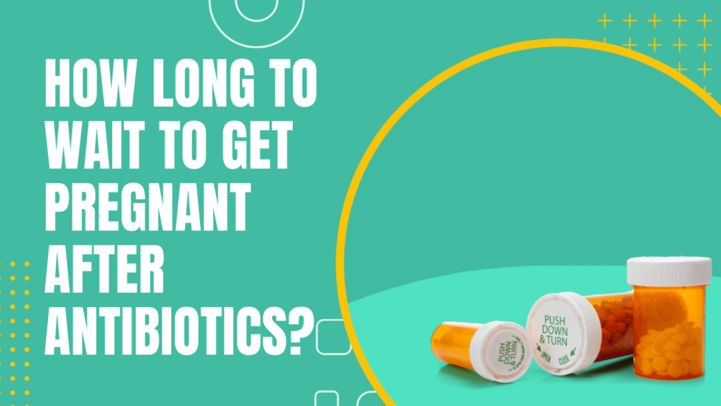 How Long To Wait To Get Pregnant After Antibiotics?