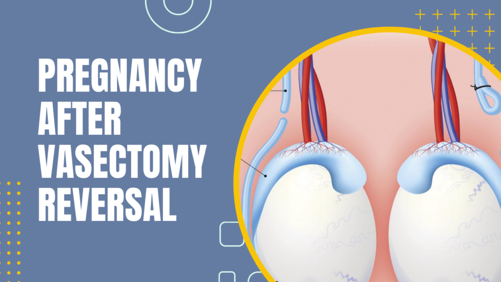 Pregnancy After Vasectomy Reversal?