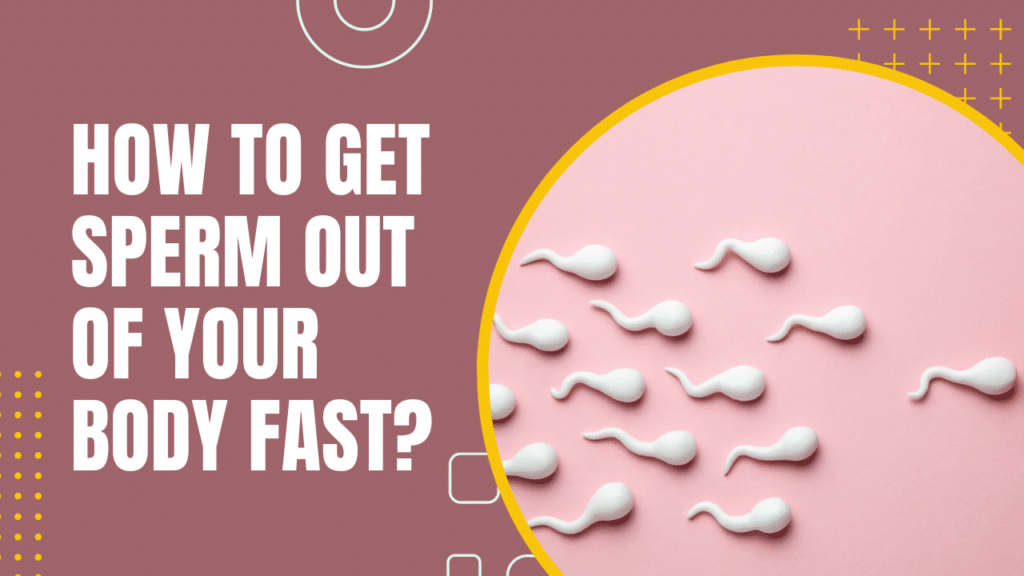 How To Get Sperm Out Of Your Body Fast?
