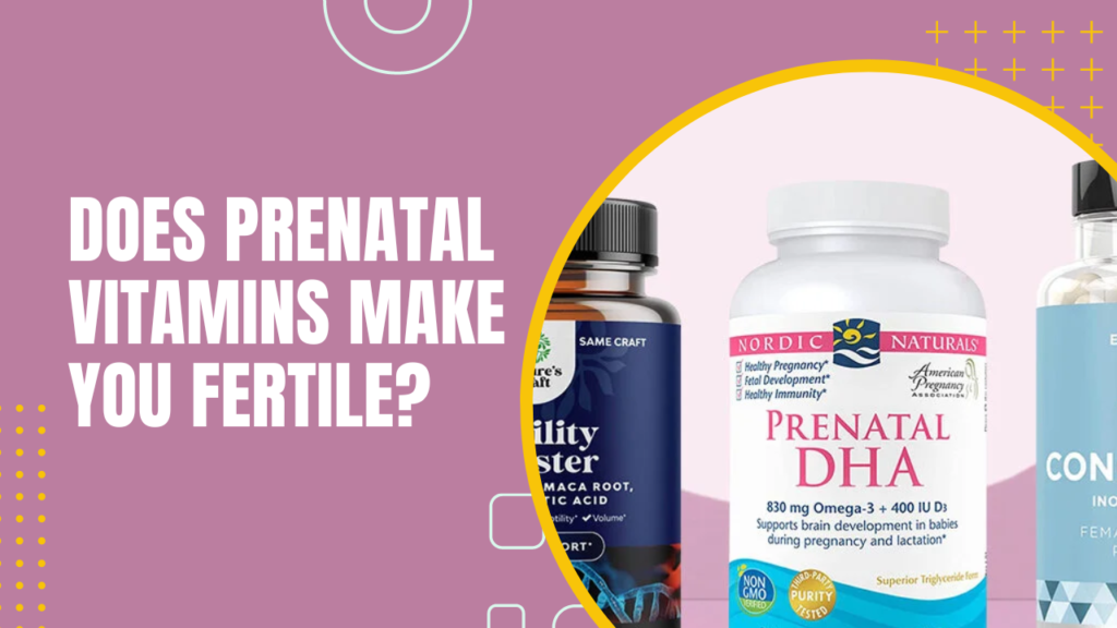 Does Prenatal Vitamins Make You Fertile?