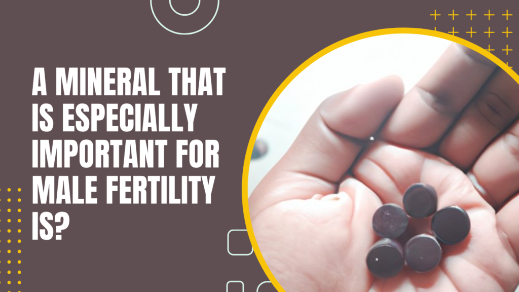 A Mineral That Is Especially Important For Male Fertility Is?