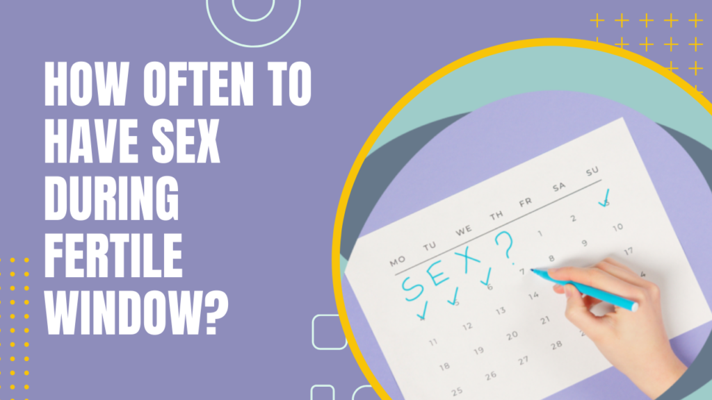 How Often To Have Sex During Fertile Window?