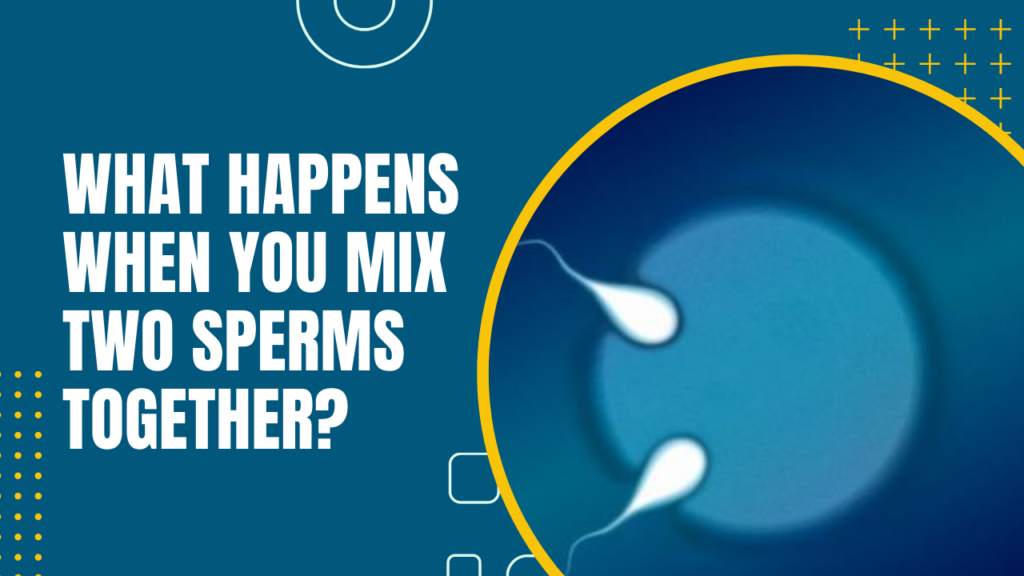 What Happens When You Mix Two Sperms Together?