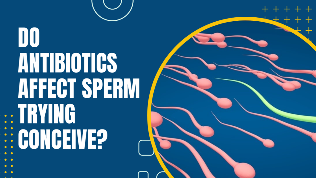 Do Antibiotics Affect Sperm Trying Conceive?