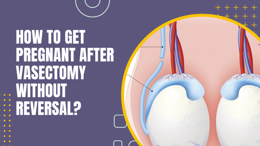 How To Get Pregnant After Vasectomy Without Reversal?