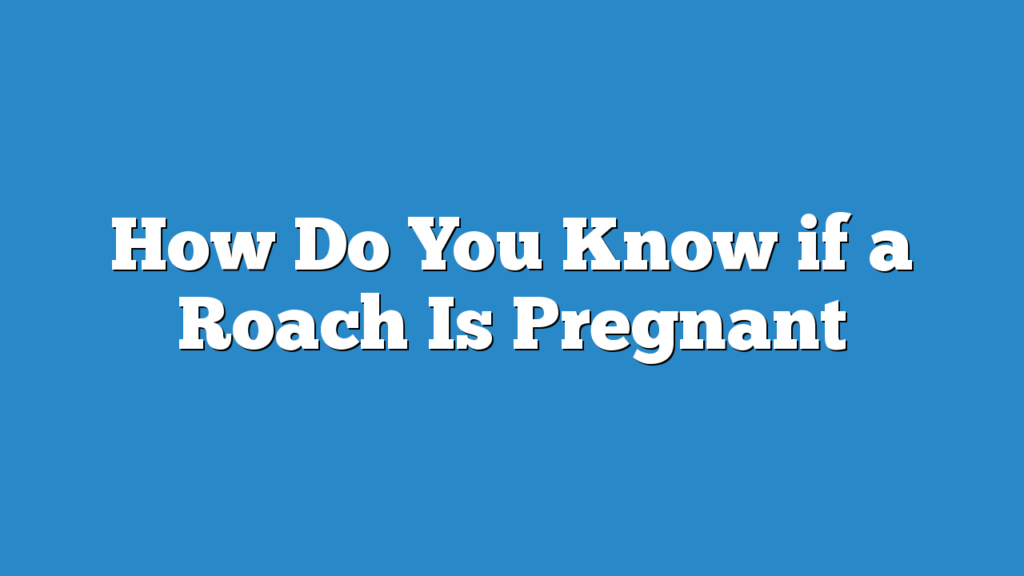 How Do You Know if a Roach Is Pregnant